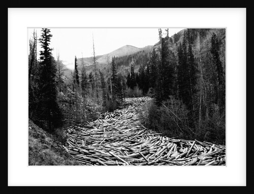 Log Jam in Stream by Anonymous