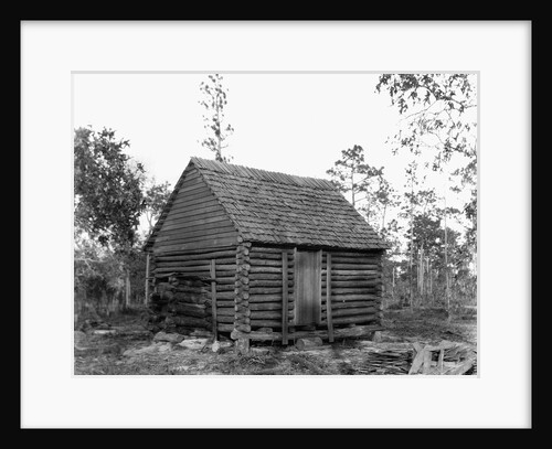 Log Home by Anonymous