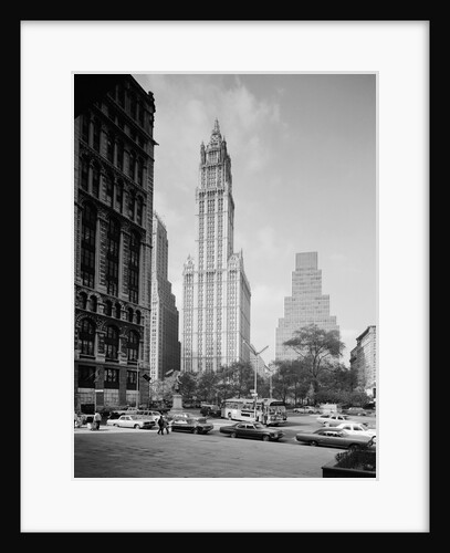 Woolworth Building by Anonymous