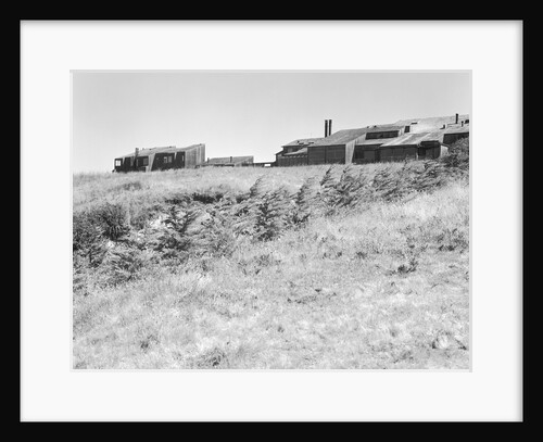 Sea Ranch by Anonymous