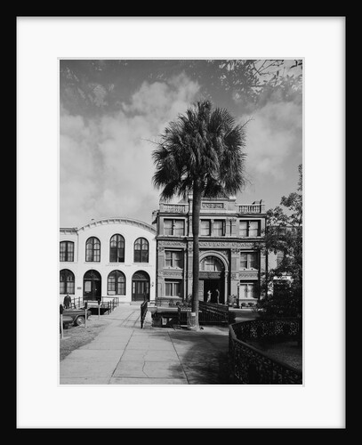 Savannah Cotton Exchange by Anonymous