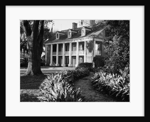 Shadows of the Teche by Anonymous