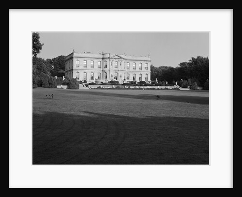 The Elms by Anonymous