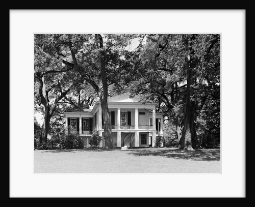 Oakleigh by Anonymous