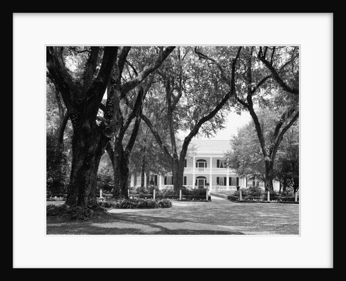 Manor House at Rosedown Plantation by Anonymous