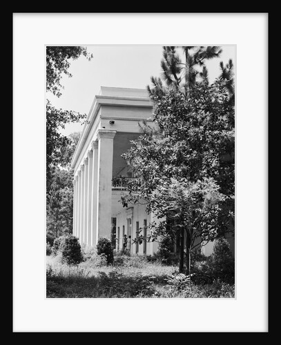 Corner of Ashland-Belle Helene by Anonymous