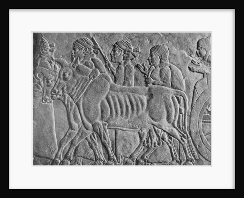 Early Bas Relief of Assyrian Conquerings by Anonymous
