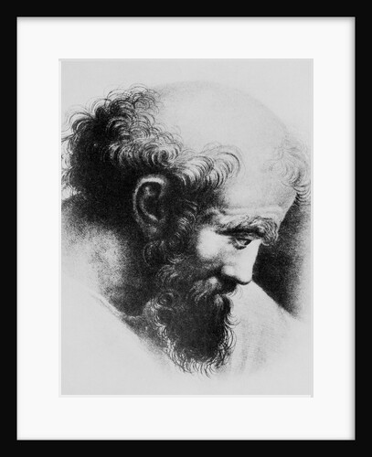 Portrait of Pythagoras by Anonymous