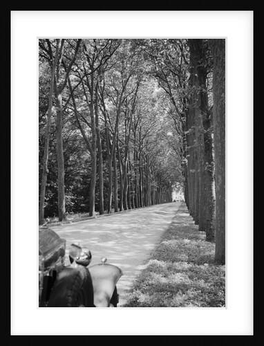 Tree-Lined Entrance Road to French Chateau Chenonceaux by Anonymous