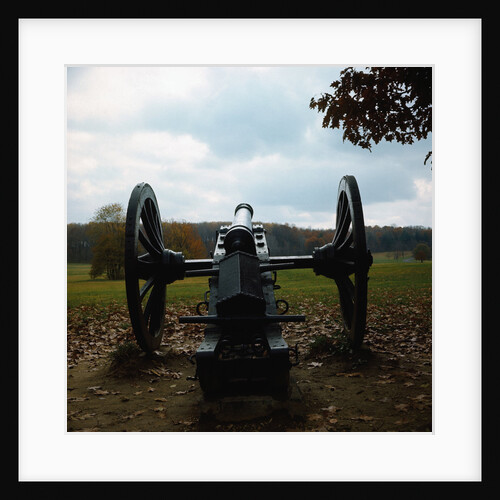 Cannon in Valley Forge by Anonymous