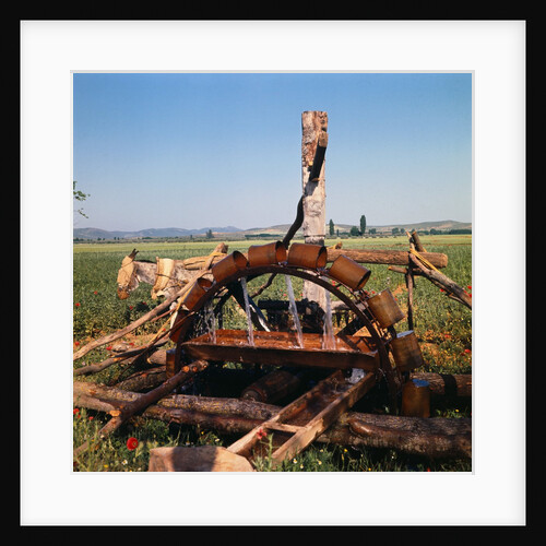 Donkey at an Antiquated Irrigation Wheel by Anonymous