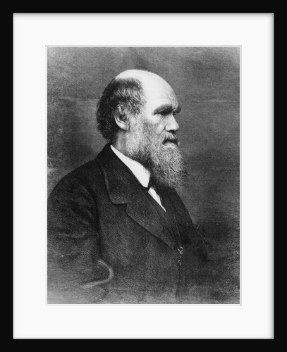 Profile of Author Charles Darwin by Anonymous