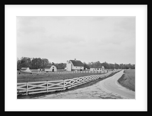 Swann's Point Plantation by Anonymous