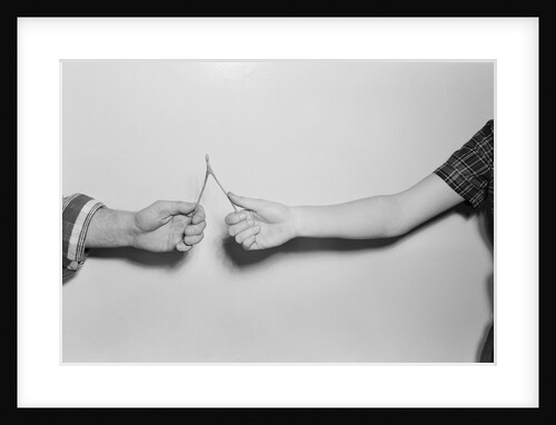 Breaking a Wishbone by Anonymous