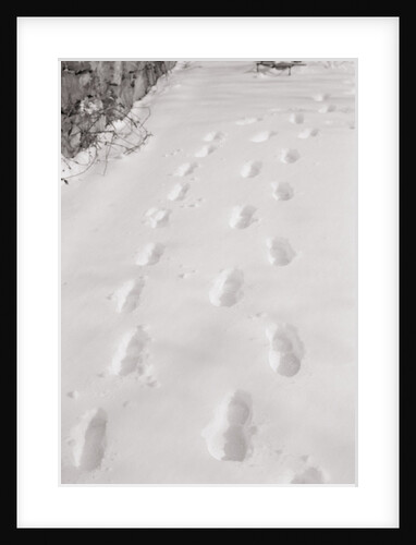 Footprints in the Snow by Anonymous