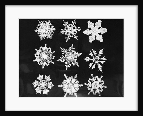 Assorted Snowflake Patterns by Anonymous