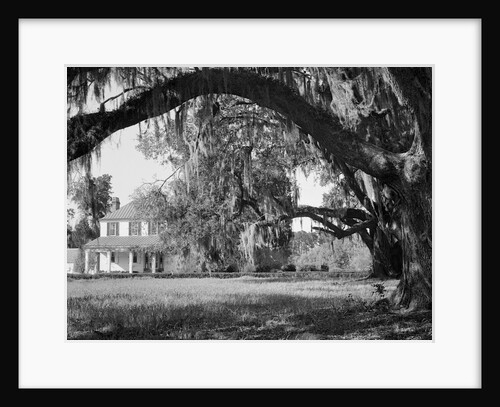 Exterior View of an Old Southern Home by Anonymous