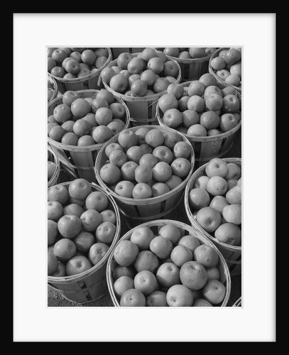 Baskets of Apples by Anonymous