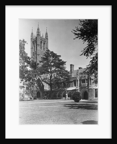 View of Princeton University, Madison Hall by Anonymous