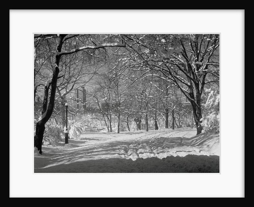 Central Park in Winter by Anonymous