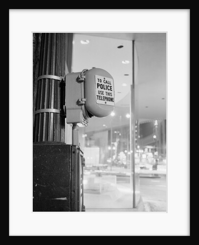 Police Call Box by Anonymous