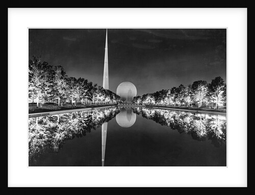 Trees Illuminated Around Constitutional Mall by Anonymous