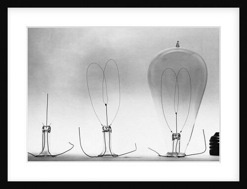 Parts of Incandescent Light Bulb by Anonymous