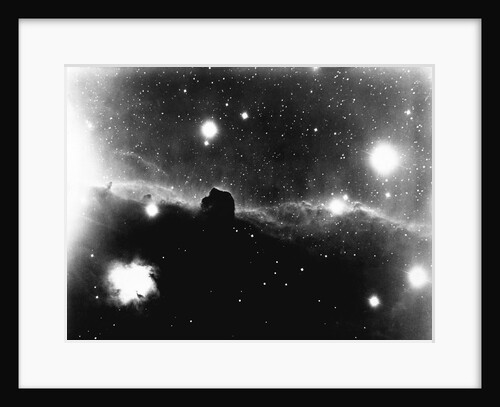 Horse's Head in Orion Nebula by Anonymous