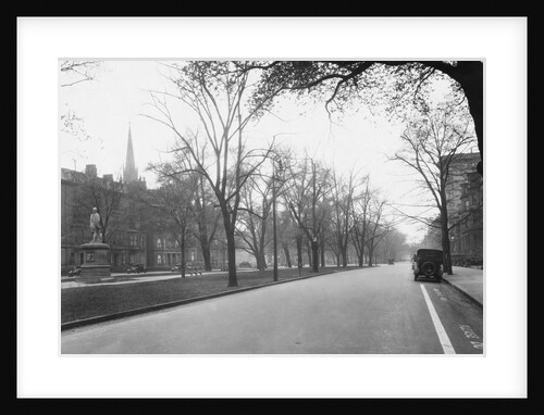 Trees Line a City Street by Anonymous
