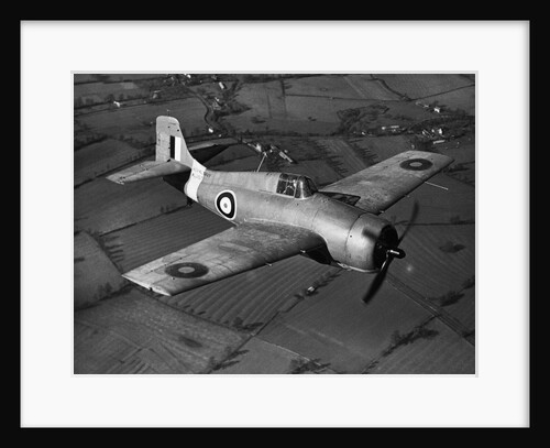 Grumman Martlet 1 by Anonymous