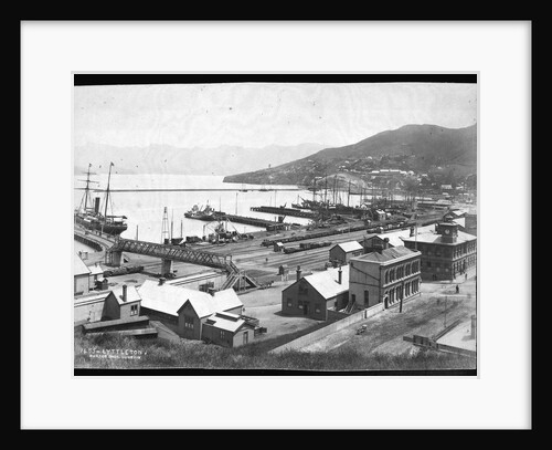 Lyttleton Harbour by Anonymous