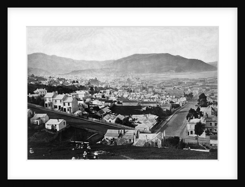 Overview of Dunedin by Anonymous