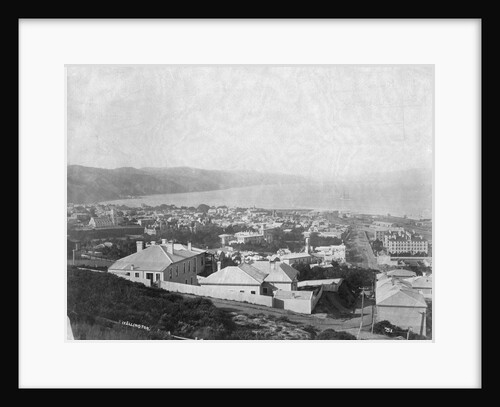 Wellington, ca. 1885 by Anonymous