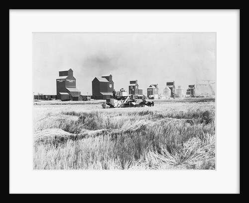 Combine Harvesters at Work in Canada by Anonymous