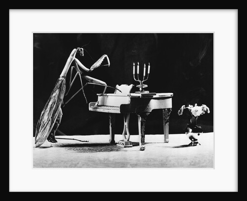 A Musical Praying Mantis by Anonymous