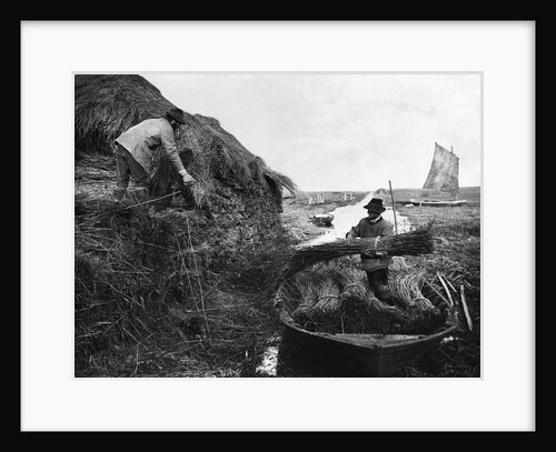 Farmers Gathering Reeds by Anonymous