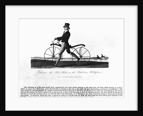Johnson's Hobby Horse by Anonymous