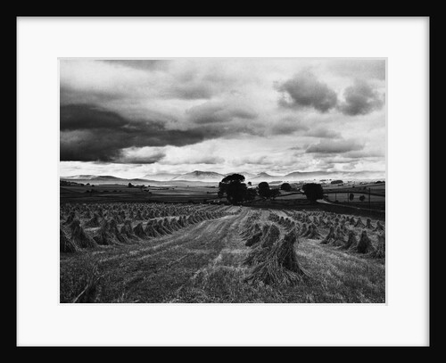 Welsh Wheat Fields With Snowdonia in the Distance by Anonymous