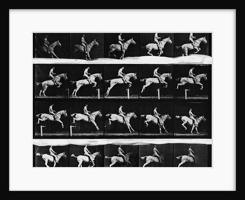 Nude Man Riding Horse by Anonymous