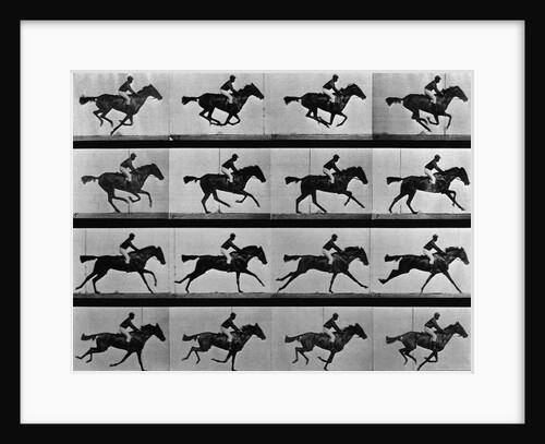 Man Riding Galloping Horse by Anonymous