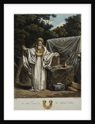 An Arch Druid in His Judicial Habit by Robert Havell