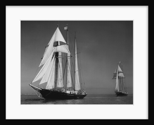 Schooners Sir Winston Churchill and Malcolm Miller by Anonymous