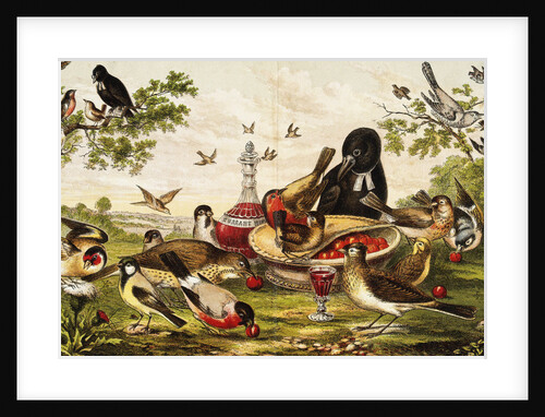 Color Print of Birds Feasting on a Fruit Pie by Anonymous