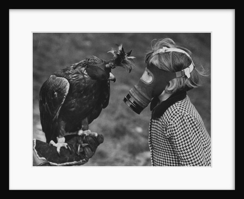 Masked Child Looking at Eagle by Anonymous