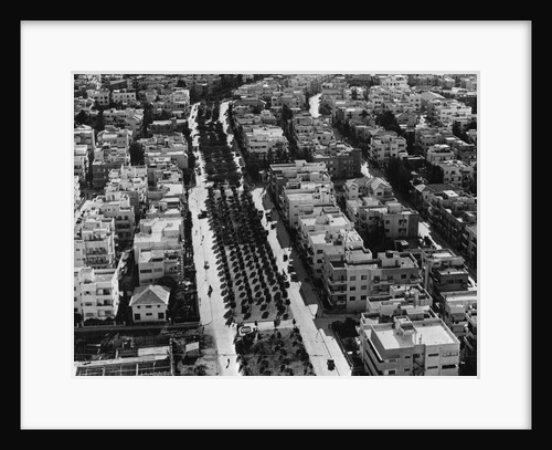 Aerial View of Rothschild Avenue by Anonymous