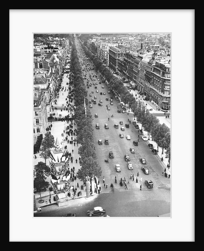 Tree Lined Street by Anonymous