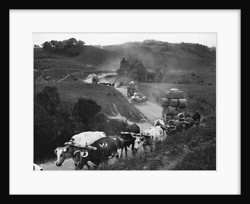 Carts Head to Market by Anonymous