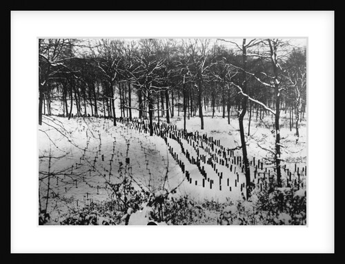 Rows of Posts in Front of the Maginot Line, ca. 1940 by Anonymous