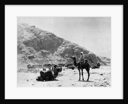 Camels Carry Water to Troops in Sudan by Anonymous