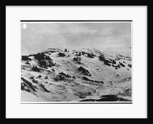 Climbing The Whiterabbit Pass by Anonymous
